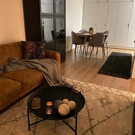 Amazing City Center Apartment Ροβανιέμι Εξωτερικό φωτογραφία