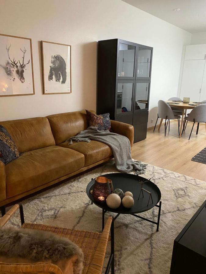Amazing City Center Apartment Ροβανιέμι Εξωτερικό φωτογραφία